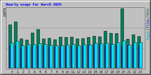Hourly usage for March 2025