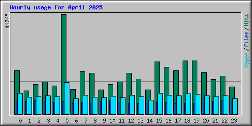 Hourly usage for April 2025