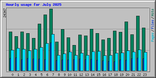 Hourly usage for July 2025
