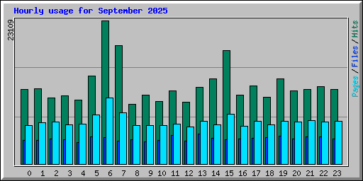 Hourly usage for September 2025