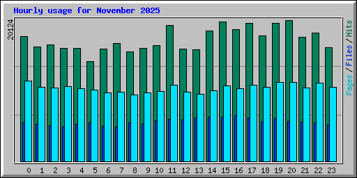 Hourly usage for November 2025