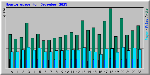 Hourly usage for December 2025