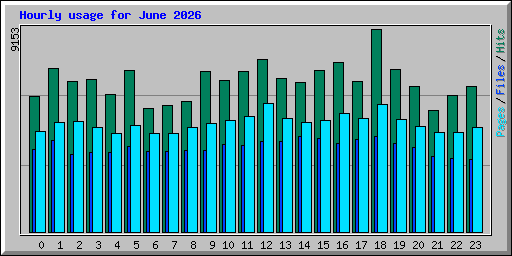 Hourly usage for June 2026